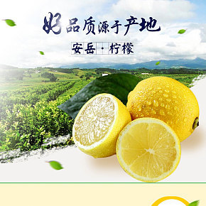 水果柠檬详情页