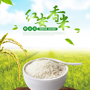 大米食品详情页