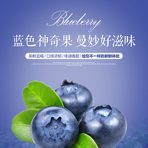 休息食品 蓝莓 绿色有机水果 健康 新鲜 水果详情页